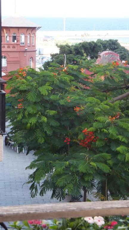 Hotel Casa Colonial Cejas Santa Cruz de Tenerife Pokój zdjęcie
