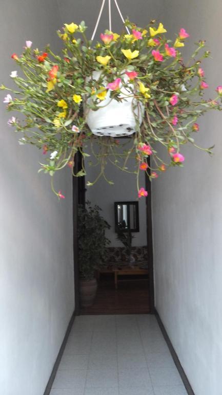 Hotel Casa Colonial Cejas Santa Cruz de Tenerife Zewnętrze zdjęcie