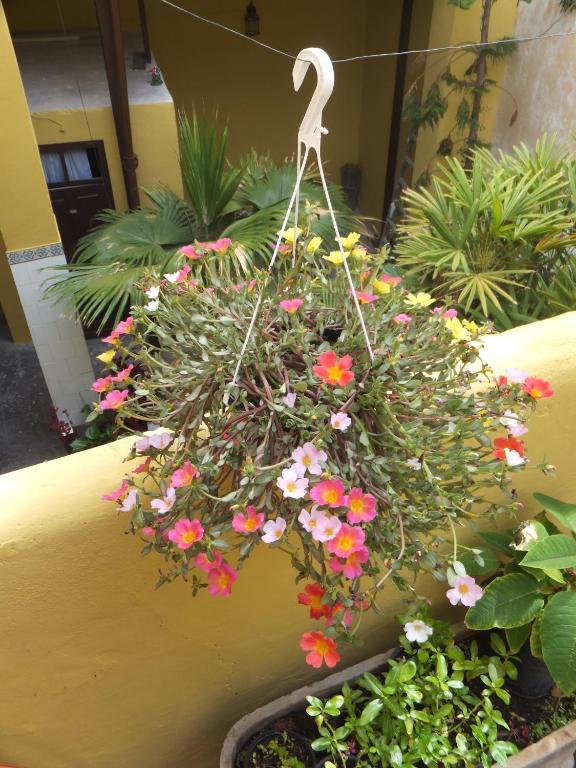 Hotel Casa Colonial Cejas Santa Cruz de Tenerife Zewnętrze zdjęcie