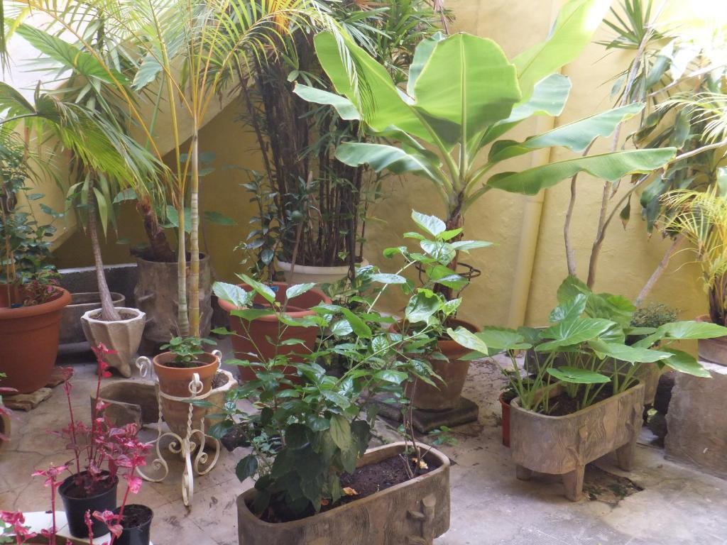 Hotel Casa Colonial Cejas Santa Cruz de Tenerife Zewnętrze zdjęcie