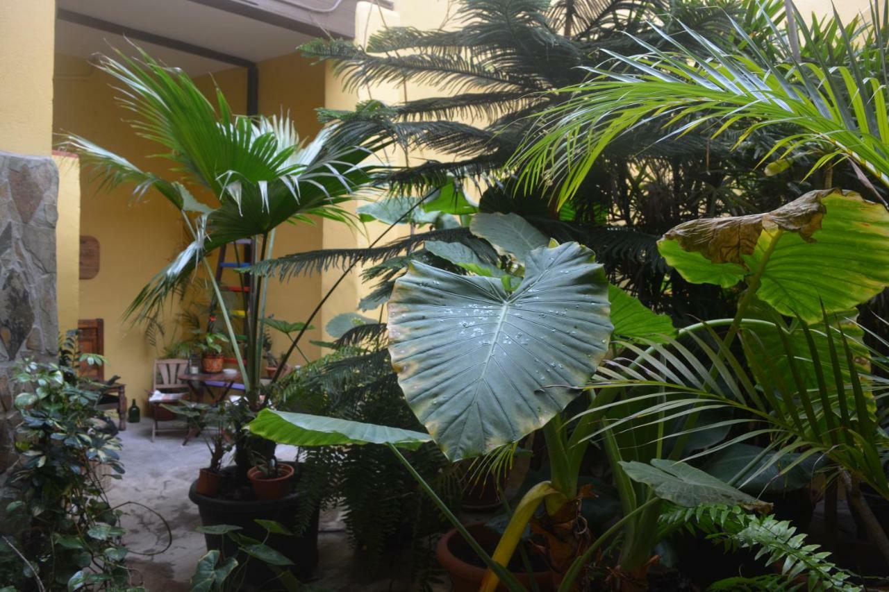 Hotel Casa Colonial Cejas Santa Cruz de Tenerife Zewnętrze zdjęcie